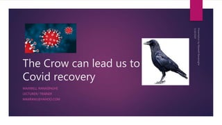 The Crow can lead us to us to
Covid recovery
MAXWELL RANASINGHE
LECTURER/ TRAINER
MAXRAN1@YAHOO.COM
 