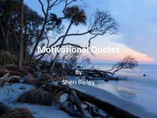Motivational Quotes

         By
     Sheri Bailey
 