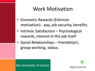 Work Motivation Economic Rewards (Extrinsic  motivation) - pay, job security, benefits. Intrinsic Satisfaction – Psychological rewards, interest in the job itself Social Relationships – friendship’s, group working, status. 