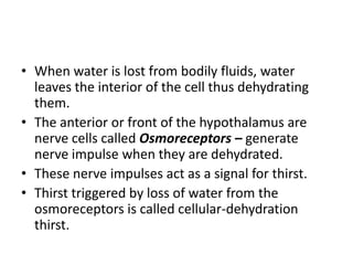 • When water is lost from bodily fluids, water
  leaves the interior of the cell thus dehydrating
  them.
• The anterior or front of the hypothalamus are
  nerve cells called Osmoreceptors – generate
  nerve impulse when they are dehydrated.
• These nerve impulses act as a signal for thirst.
• Thirst triggered by loss of water from the
  osmoreceptors is called cellular-dehydration
  thirst.
 
