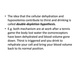 • The idea that the cellular dehydration and
  hypovolemia contribute to thirst and drinking is
  called double-depletion hypothesis.
• E.g. both mechanism are at work after a tennis
  game the body lost water the osmoreceptors
  have been dehydrated and blood volume gone
  down. Thirst is triggered and you drink to
  rehydrate your cell and bring your blood volume
  back to its normal position.
 