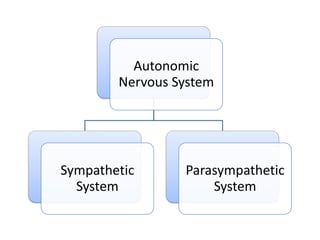 Autonomic
        Nervous System




Sympathetic      Parasympathetic
  System             System
 