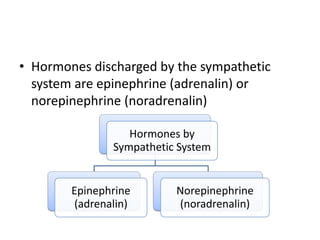 • Hormones discharged by the sympathetic
  system are epinephrine (adrenalin) or
  norepinephrine (noradrenalin)

                   Hormones by
                Sympathetic System


        Epinephrine        Norepinephrine
         (adrenalin)       (noradrenalin)
 