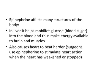 • Epinephrine affects many structures of the
  body:
• In liver it helps mobilize glucose (blood sugar)
  into the blood and thus make energy available
  to brain and muscles.
• Also causes heart to beat harder (surgeons
  use epinepherine to stimulate heart action
  when the heart has weakened or stopped)
 