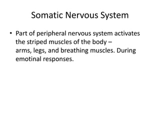 Somatic Nervous System
• Part of peripheral nervous system activates
  the striped muscles of the body –
  arms, legs, and breathing muscles. During
  emotinal responses.
 