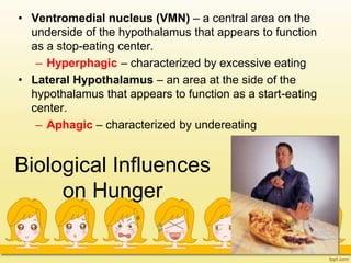 Biological Influences
on Hunger
• Ventromedial nucleus (VMN) – a central area on the
underside of the hypothalamus that appears to function
as a stop-eating center.
– Hyperphagic – characterized by excessive eating
• Lateral Hypothalamus – an area at the side of the
hypothalamus that appears to function as a start-eating
center.
– Aphagic – characterized by undereating
 