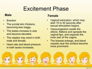 Excitement Phase
Male
• Erection
• The scrotal skin thickens,
becoming less baggy.
• The testes increase in size
and become elevated.
• The nipples may erect in both
male and female.
• Heart rate and blood pressure
in both sexes increases.
Female
• Vaginal lubrication, which may
start 10 to 30 seconds after
sexual stimulation begins.
• Vasocongestion swells the
clitoris, flattens and spreads the
vaginal lips, and expands the
inner part of the vagina.
• The breasts enlarge, and blood
vessels near the surface become
more prominent.
 