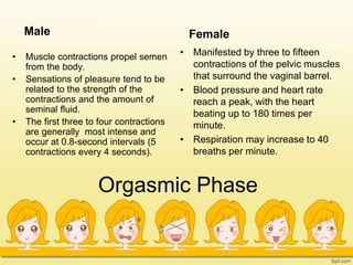 Orgasmic Phase
Male
• Muscle contractions propel semen
from the body.
• Sensations of pleasure tend to be
related to the strength of the
contractions and the amount of
seminal fluid.
• The first three to four contractions
are generally most intense and
occur at 0.8-second intervals (5
contractions every 4 seconds).
Female
• Manifested by three to fifteen
contractions of the pelvic muscles
that surround the vaginal barrel.
• Blood pressure and heart rate
reach a peak, with the heart
beating up to 180 times per
minute.
• Respiration may increase to 40
breaths per minute.
 