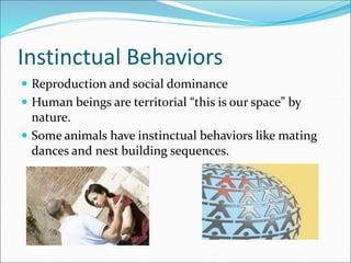 Instinctual Behaviors
 Reproduction and social dominance
 Human beings are territorial “this is our space” by
nature.
 Some animals have instinctual behaviors like mating
dances and nest building sequences.
 