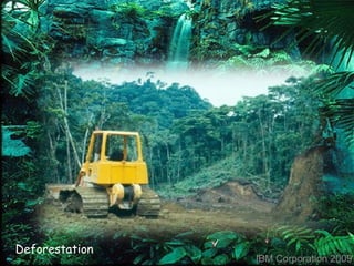 IBM Corporation 2009 Deforestation 