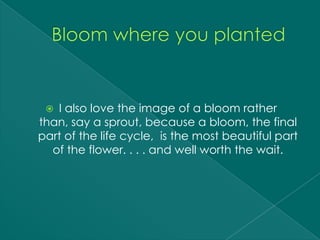  I also love the image of a bloom rather
than, say a sprout, because a bloom, the final
part of the life cycle, is the most beautiful part
  of the flower. . . . and well worth the wait.
 