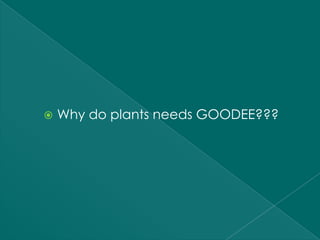    Why do plants needs GOODEE???
 