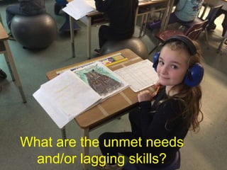 What are the unmet needs
and/or lagging skills?
 