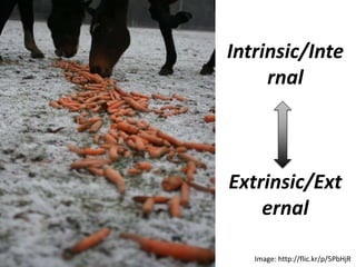 Intrinsic/Inte
rnal
Extrinsic/Ext
ernal
Image: http://flic.kr/p/5PbHjR
 
