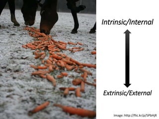 Intrinsic/Internal
Extrinsic/External
Image: http://flic.kr/p/5PbHjR
 