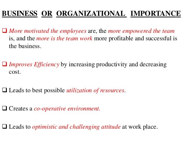  Motivation importance in organization 