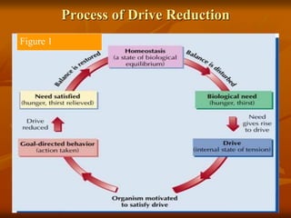 Process of Drive Reduction
Figure 1
 
