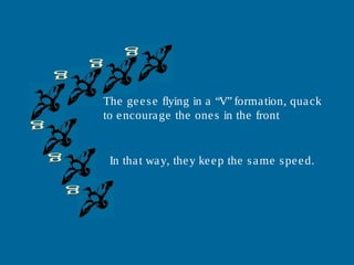 The geese flying in a “V” formation, quack
to encourage the ones in the front.
In that way, they keep the same speed.
 