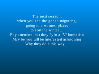The next season,
when you see the geese migrating,
going to a warmer place,
to sort the winter ...
Pay attention that they fly in a “V” formation
May be you will be interested in knowing
Why they do it this way ...
 