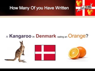 A Kangaroo in Denmark eating an Orange?
 