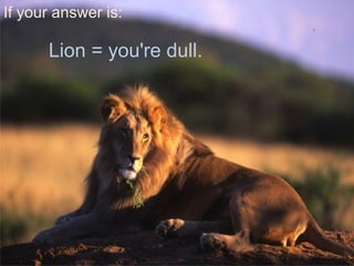 If your answer is:
Lion = you're dull.
 