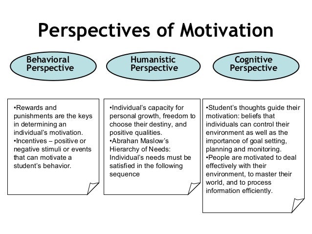 the cognitive perspective of motivation