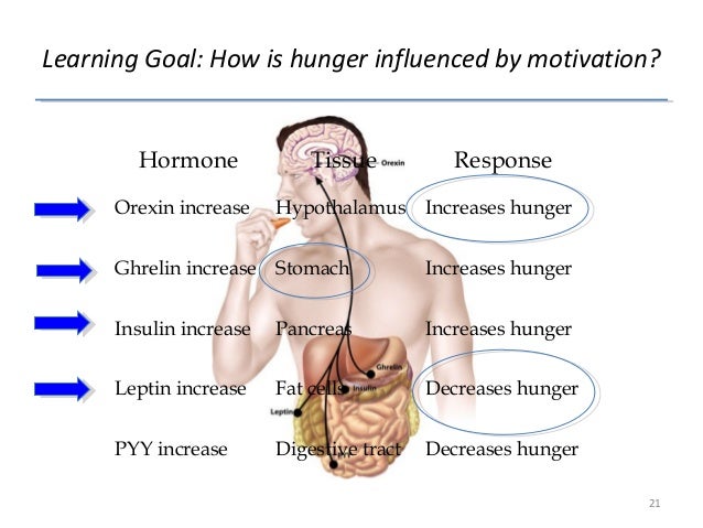 definition of motivation in psychology pdf