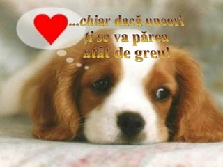 Fii aşadar înţelept  şi nu-ţi fie teamă  să spui la timp  N  U Uneori  „mai târziu” poate însemna „prea târziu” Vei reuşi... ...chiar dacă uneori ţi se va părea  atât de greu! 