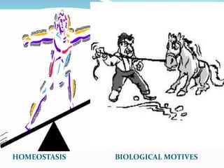 Example:
HOMEOSTASIS BIOLOGICAL MOTIVES
 