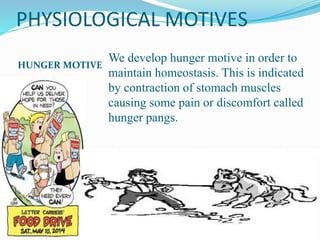 PHYSIOLOGICAL MOTIVES
HUNGER MOTIVE
We develop hunger motive in order to
maintain homeostasis. This is indicated
by contraction of stomach muscles
causing some pain or discomfort called
hunger pangs.
 