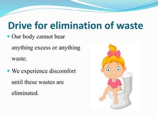 Drive for elimination of waste
 Our body cannot bear
anything excess or anything
waste.
 We experience discomfort
until these wastes are
eliminated.
 