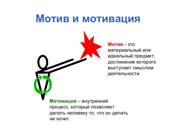 Программа Мотив