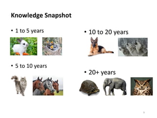 Knowledge Snapshot
9
• 1 to 5 years
• 5 to 10 years
• 10 to 20 years
• 20+ years
 