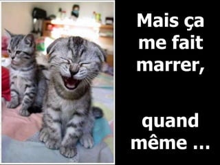 Mais ça me fait marrer, quand même …