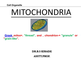 MITOCHONDRIA
DR.B.S KIRADE
ASSTT.PROF.
Cell Organelle
Greek mitos=. "thread", and , chondrion-= "granule" or
"grain-like".
 