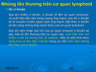 Những tổn thương ttrrêênn ccơơ qquuaann llyymmpphhooiidd 
 DDoo vvii kkhhuuẩẩnn 
SSaauu kkhhii nnhhiiễễmm vvii kkhhuuẩẩnn,, vvii kkhhuuẩẩnn đđii đđếếnn ccơơ qquuaann llyymmpphhooiidd,, 
vvàà xxuuấấtt hhiiệệnn đđầầuu ttiiêênn ttrroonngg xxooaanngg ốốnngg mmạạcchh,, ssaauu đđóó vvii kkhhuuẩẩnn 
ssẽẽ ddii cchhuuyyểểnn rraa bbêênn nnggooààii vváácchh ốốnngg mmạạcchh,, ttiiếếpp tthheeoo vvii kkhhuuẩẩnn 
ssẽẽ ttấấnn ccôônngg nnhhữữnngg ốốnngg mmạạcchh kkhháácc ccủủaa ccơơ qquuaann llyymmpphhooiidd.. 
SSaauu kkhhii xxââmm nnhhậậpp vvààoo mmôô ccủủaa ccơơ qquuaann llyymmppooiidd vvii kkhhuuẩẩnn ssẽẽ 
ggââyy mmộộtt ssốố ttổổnn tthhưươơnngg ttrrêênn ccơơ qquuaann nnààyy,, xxuuấấtt hhiiệệnn ttrrêênn mmôô 
nnhhiiềềuu uu hhạạtt vvàà nnhhữữnngg ssắắcc ttốố mmeellaanniinn.. ĐĐââyy llàà mmộộtt hhììnnhh tthhứứcc 
nnaanngg hhooáá vvàà ttiiêêuu ddiiệệtt vvii kkhhuuẩẩnn ttrroonngg ccơơ cchhếế mmiiễễnn ddịịcchh kkhhôônngg 
đđặặcc hhiiệệuu ccủủaa vvii kkhhuuẩẩnn.. 
09/12/14 51 
 
