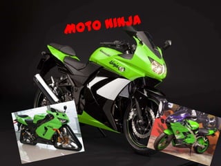 Moto ninja 