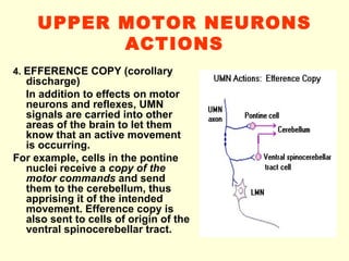 Motor control-09-10 | PPT