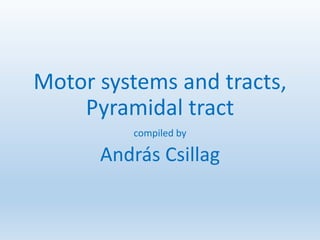 Motor systems and tracts,
Pyramidal tract
compiled by
András Csillag
 