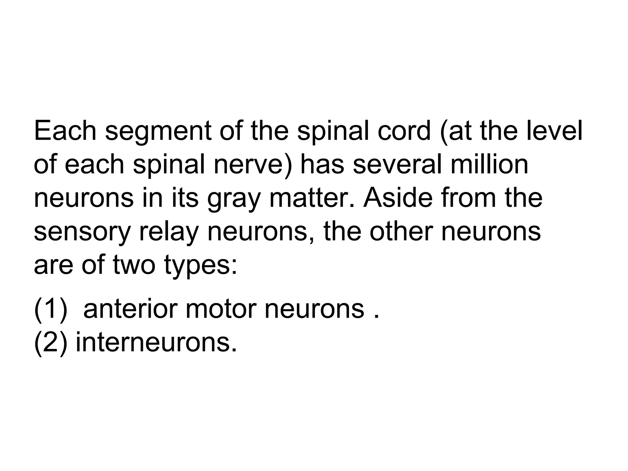 General Physiology - Motor Functions of the Spinal Cord; the Cord ...