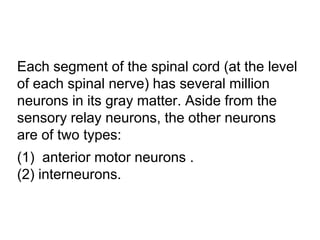 General Physiology - Motor Functions of the Spinal Cord; the Cord ...