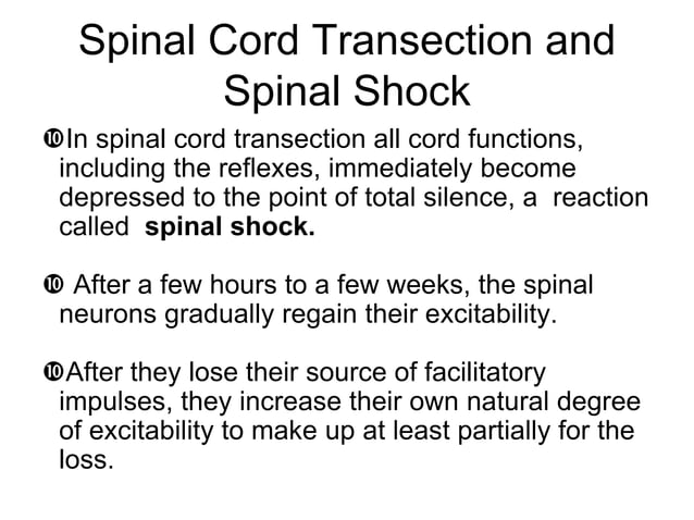 General Physiology - Motor Functions of the Spinal Cord; the Cord ...