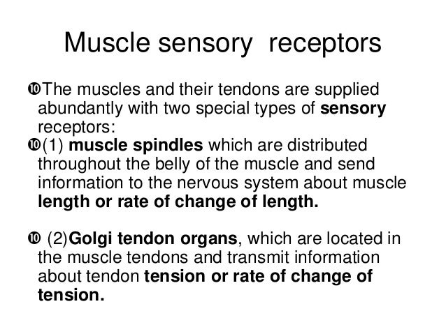 transmit definition physiology transmit definition physiology