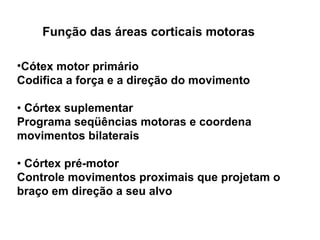 Função das áreas corticais motoras Cótex motor primário Codifica a força e a direção do movimento •  Córtex suplementar Programa seqüências motoras e coordena movimentos bilaterais •  Córtex pré-motor Controle movimentos proximais que projetam o braço em direção a seu alvo 