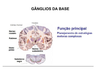 GÂNGLIOS DA BASE 