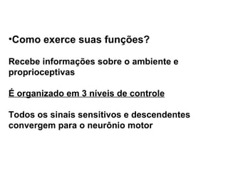 Como exerce suas funções? Recebe informações sobre o ambiente e proprioceptivas É organizado em 3 níveis de controle Todos os sinais sensitivos e descendentes convergem para o neurônio motor 