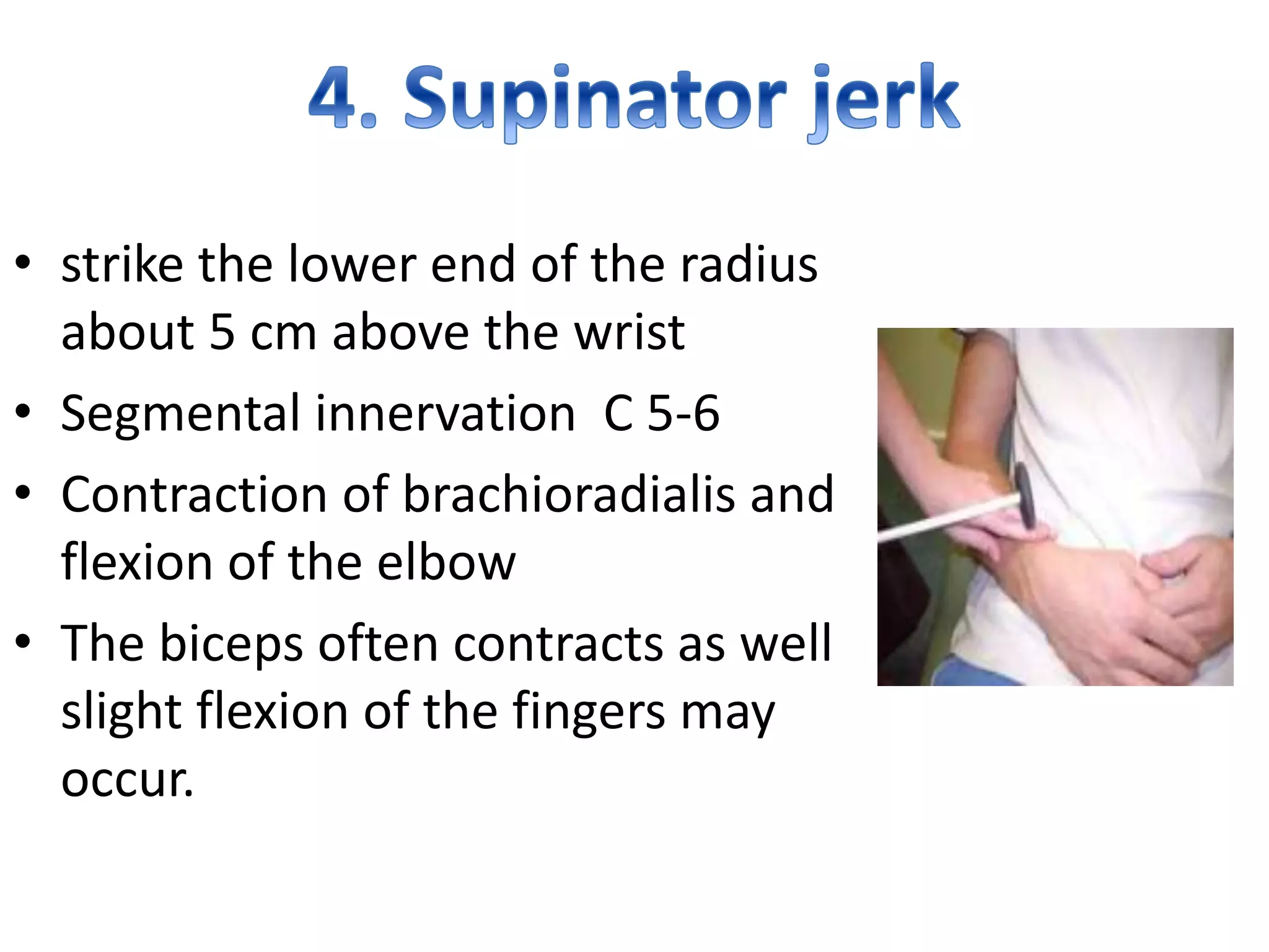 Motor and sensory examination, Examination of reflexes PPT