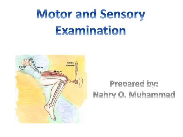 Motor and sensory examination, Examination of reflexes | PPTX | Death ...