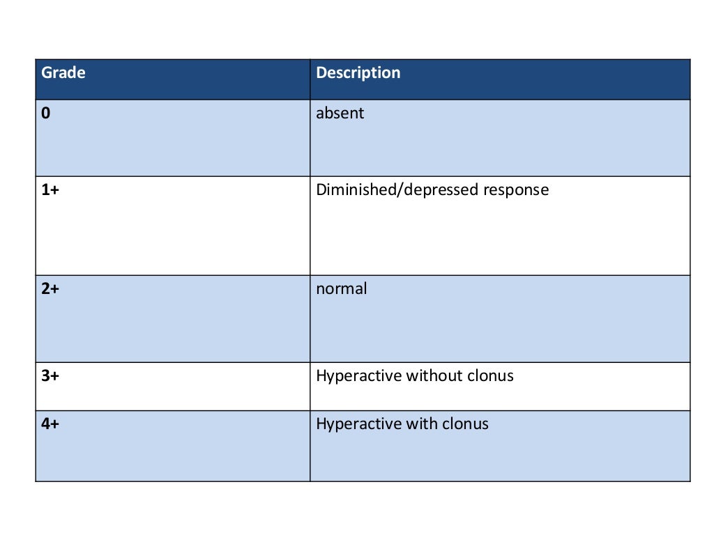 Motor and sensory examination, Examination of reflexes