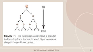 MOTOR CONTROL – SHUMWAY COOK 15
 